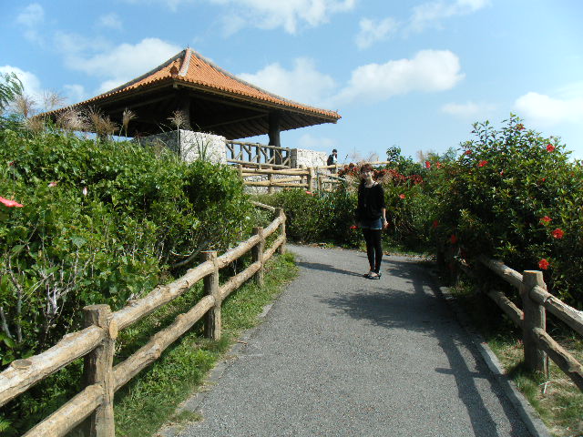 �������|