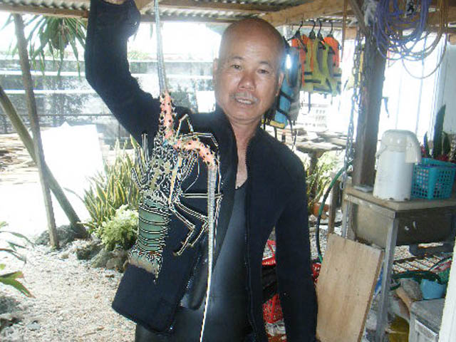 �������|